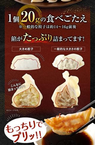 ラー麦を使用した大きめ餃子 50個の画像 3枚目