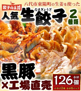  餃子の王国 人気 生餃子 126個の画像 2枚目