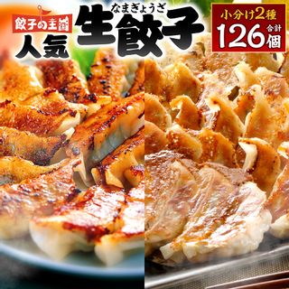  餃子の王国 人気 生餃子 126個 熊本県八代市のサムネイル画像