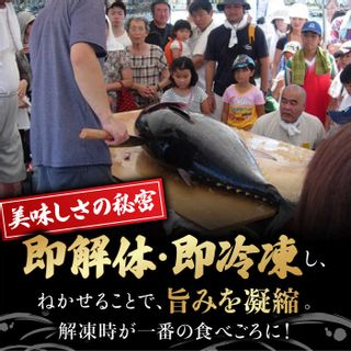 長崎県産 本マグロ 中トロ 約700gの画像 3枚目