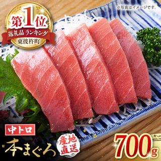 長崎県産 本マグロ 中トロ 約700g  長崎県東彼杵町のサムネイル画像 1枚目