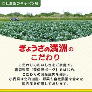 冷凍生餃子10パック(120個)　ぎょうざの満洲 埼玉県坂戸市のサムネイル画像 3枚目