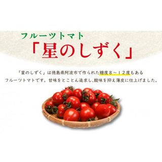 【 早期予約 】フルーツ トマト 星のしずく 糖度8以上 350g  徳島県阿波市のサムネイル画像 2枚目