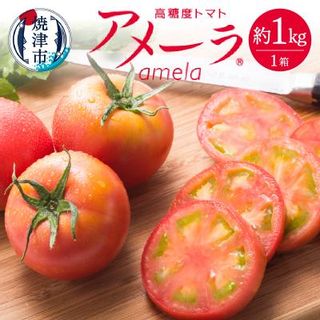 アメーラ トマト 高糖度 トマト 産地 直送 化粧箱入(a10-371)の画像 1枚目