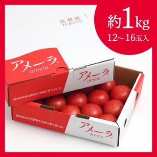アメーラ トマト 高糖度 トマト 産地 直送 化粧箱入(a10-371)の画像 2枚目