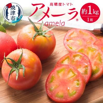 アメーラ トマト 高糖度 トマト 産地 直送 化粧箱入(a10-371)の画像