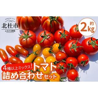 AGRIMIND　明野菜園トマト詰め合わせセット 山梨県北杜市のサムネイル画像