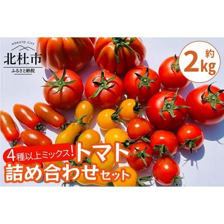 AGRIMIND　明野菜園トマト詰め合わせセットの画像