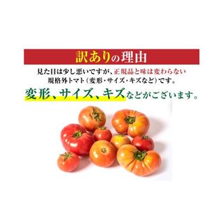 【訳あり】 八代市産 規格外トマト 4.5kg 熊本県八代市のサムネイル画像 2枚目