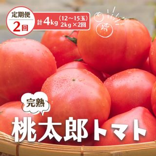 【定期便2回】桃太郎 トマト（12～15玉）約2kg×2回 （計4kg） 奈良県平群町のサムネイル画像 1枚目