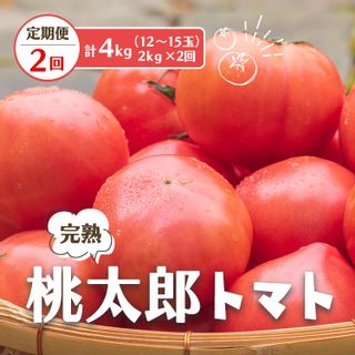 【定期便2回】桃太郎 トマト（12～15玉）約2kg×2回 （計4kg） 奈良県平群町のサムネイル画像