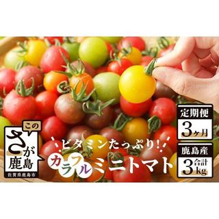 【3回定期便】カラフルミニトマト Ricotomato 1kg 合計3kg  佐賀県鹿島市のサムネイル画像 1枚目