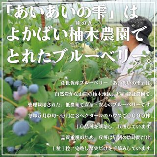 冷凍ブルーベリー あいあいの雫 1,200gの画像 3枚目