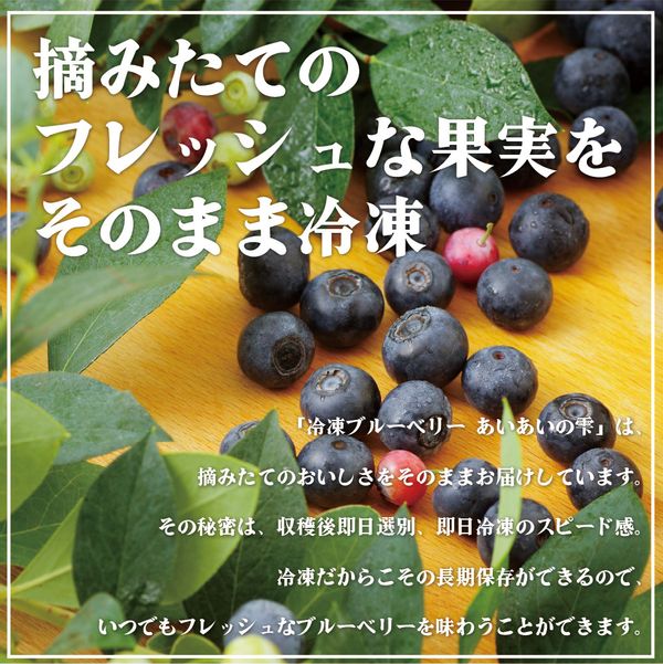 冷凍ブルーベリー あいあいの雫 1,200g 長崎県佐世保市のサムネイル画像 2枚目