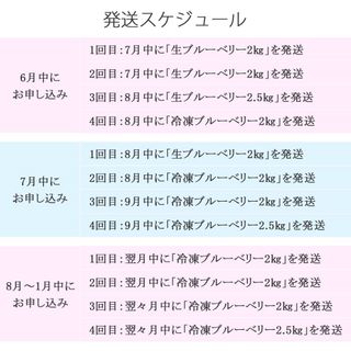 【定期便】ブルーベリー三昧 Aセット（約8.5kg／4回発送） 愛媛県新居浜市のサムネイル画像 3枚目