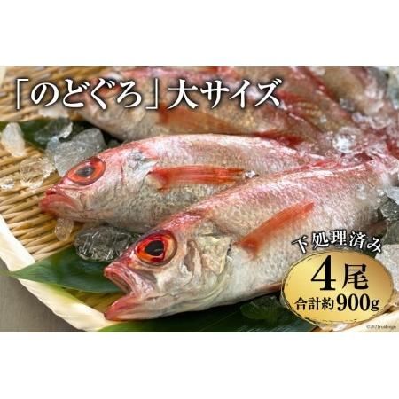 CF090「のどぐろ」大サイズ（200～250g） 4尾　＜煮付け・塩焼き用＞ 長崎県島原市のサムネイル画像 1枚目