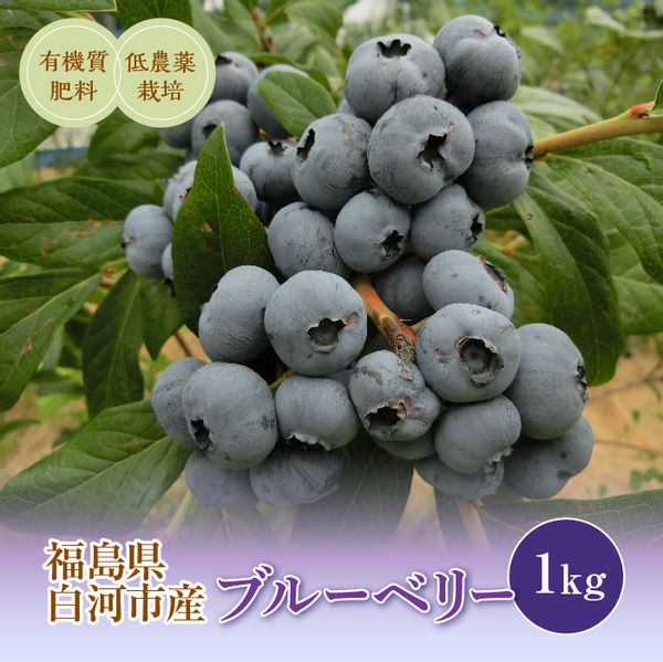 白河産ブルーベリー 1kgの画像