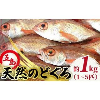 天然のどくろ(アカムツ)約1kg 高級 鮮魚 刺身 [PBJ005] 長崎県五島市のサムネイル画像