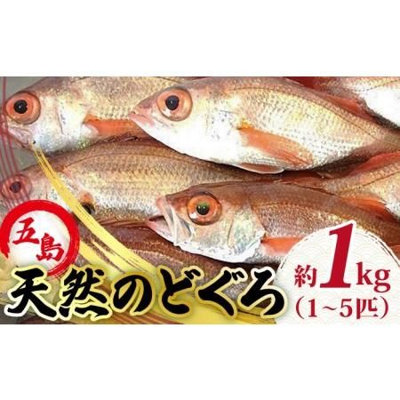 天然のどくろ(アカムツ)約1kg 高級 鮮魚 刺身 [PBJ005] 長崎県五島市のサムネイル画像 1枚目