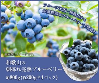 和歌山の朝採れ完熟ブルーベリー 約800g の画像 2枚目