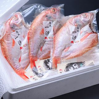 【海鮮の匠 魚政】のどぐろ熟成一汐(ノドグロ、のど黒、アカムツ)350g級使用 仕上がり後 260g以上 3尾セットの画像 3枚目