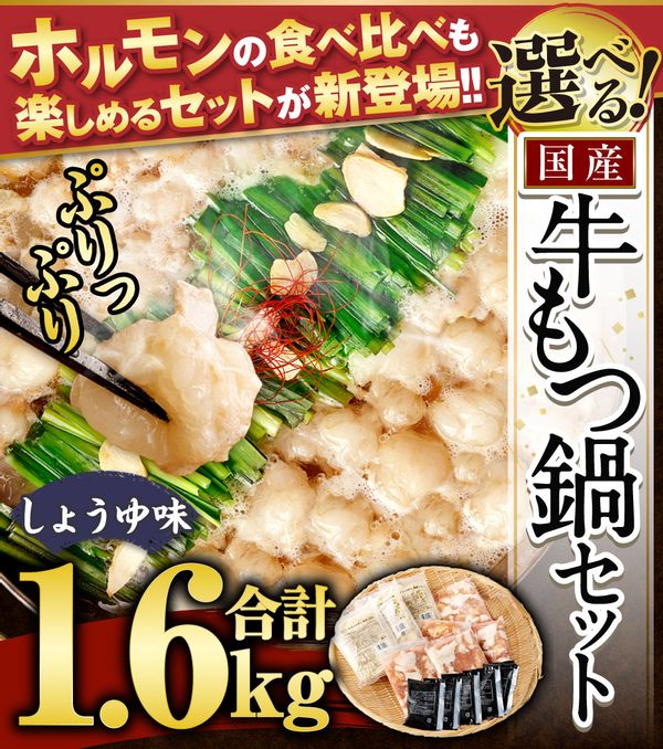 国産牛もつ鍋セット10人前 福岡県遠賀町のサムネイル画像 2枚目