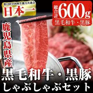 鹿児島黒毛和牛 鹿児島黒豚しゃぶしゃぶセット 鹿児島県曽於市のサムネイル画像 1枚目