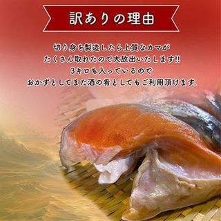 【 訳あり 】 銀鮭 カマ 千葉県いすみ市のサムネイル画像 2枚目