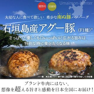 南ぬ豚網脂ハンバーグ やえやまファームのサムネイル画像 1枚目