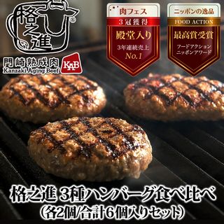 岩手薫る格之進ハンバーグセット　　 格之進のサムネイル画像