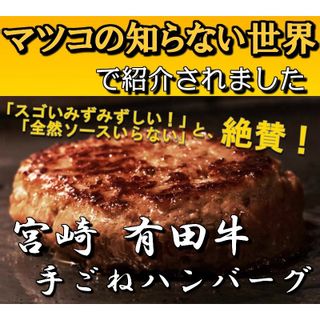 有田牛手ごね生ハンバーグ 有田牧畜産業のサムネイル画像 3枚目