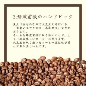 超希少種コーヒー豆 ゲシャビレッジ農園「エチオピア ゲイシャ」 ナチュラル 200g 岐阜県大垣市のサムネイル画像 4枚目