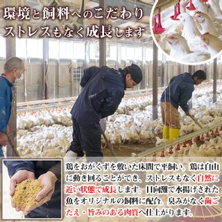 宮崎県産ブランド鶏「夢創鶏」もも肉定期コース(200g×8P×3回) 宮崎県門川町のサムネイル画像 4枚目