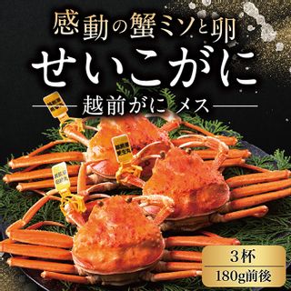 越前がに(メス)「せいこがに」 大サイズ 180g前後 3杯の画像 1枚目