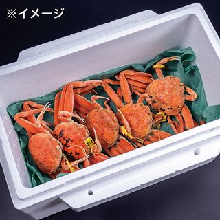 越前がに(メス)「せいこがに」 大サイズ 180g前後 3杯の画像 3枚目