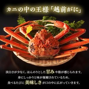 【訳あり】 茹で越前ガニ【期間限定】 約600g～700g未満×1杯 福井県若狭町のサムネイル画像 2枚目