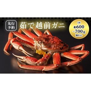 【訳あり】 茹で越前ガニ【期間限定】 約600g～700g未満×1杯 福井県若狭町のサムネイル画像