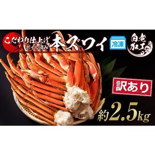 訳あり 本ズワイ蟹脚 ボイル冷凍 2.5㎏（7～10肩前後） 北海道白老町のサムネイル画像