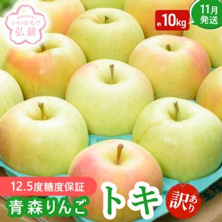 訳あり品 トキ 約10kgの画像 1枚目