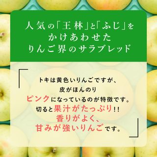 訳あり品 トキ 約10kgの画像 3枚目