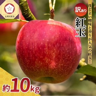 訳あり りんご 10kg 紅玉 青森県五所川原市のサムネイル画像