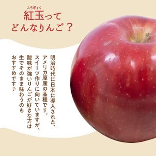 訳あり りんご 10kg 紅玉の画像 3枚目