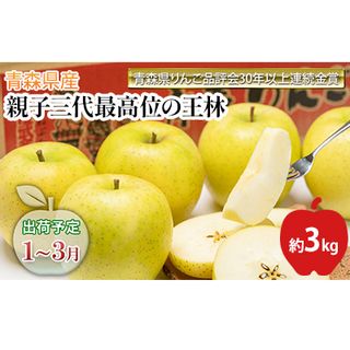 親子三代最高位の王林 約3kg 青森県平川市のサムネイル画像 1枚目