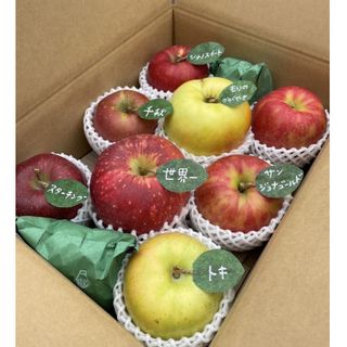 りんご7品種詰め合わせ（家庭用）3kgの画像 2枚目