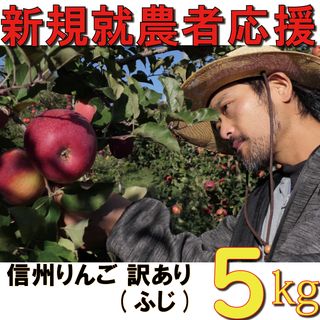 訳あり りんご 5kg（ふじ）の画像 1枚目