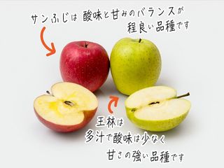 りんご 青森 サンふじ 王林 約 5kg (12～18玉)の画像 2枚目