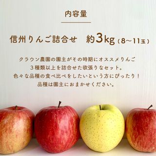 りんごの宝石箱 信州りんご 詰合せ 約3kg （8〜11玉の画像 2枚目