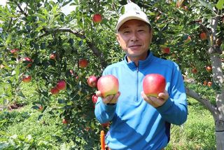 りんごの宝石箱 信州りんご 詰合せ 約3kg （8〜11玉の画像 3枚目