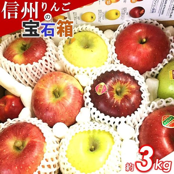 りんごの宝石箱 信州りんご 詰合せ 約3kg （8〜11玉 長野県千曲市のサムネイル画像 1枚目