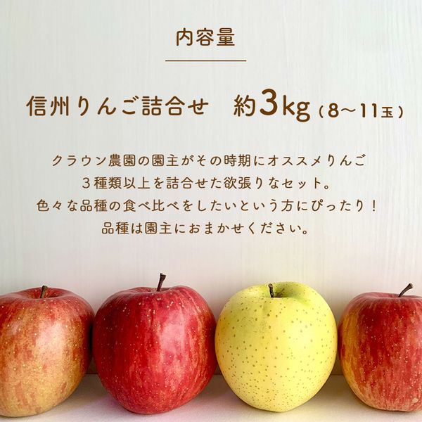 りんごの宝石箱 信州りんご 詰合せ 約3kg （8〜11玉 長野県千曲市のサムネイル画像 2枚目